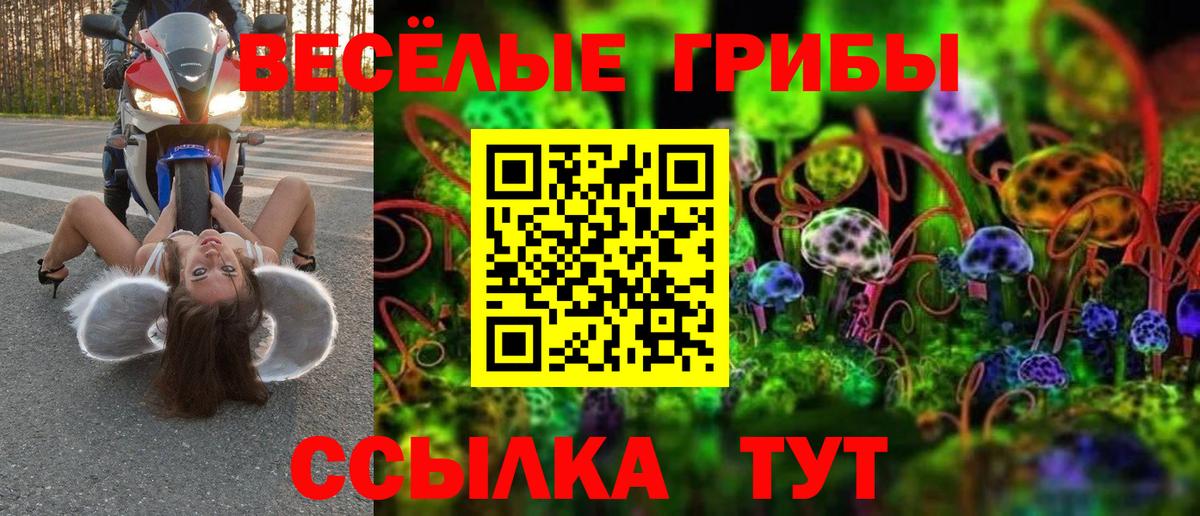 Галлюциногенные грибы Cubensis Ачинск