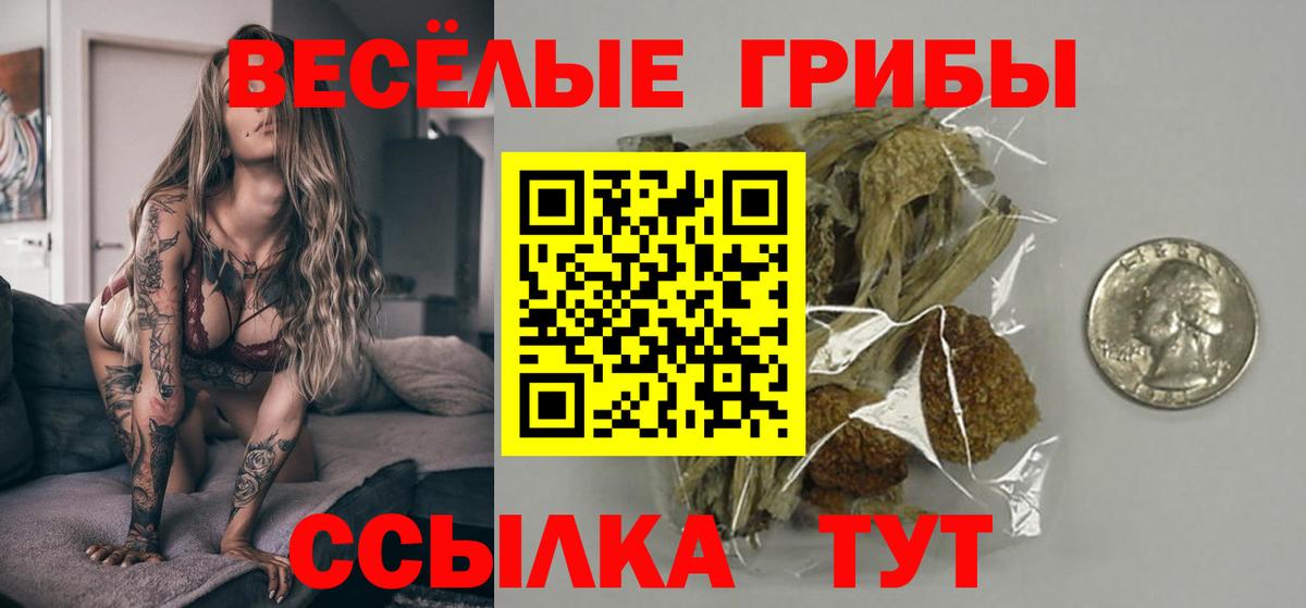 Галлюциногенные грибы Psilocybine cubensis  Вход с VPN  Ачинск 